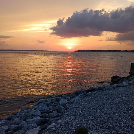The Gemini-A Dreamy, Waterfront Tiny Cabin Rogersville Luaran gambar
