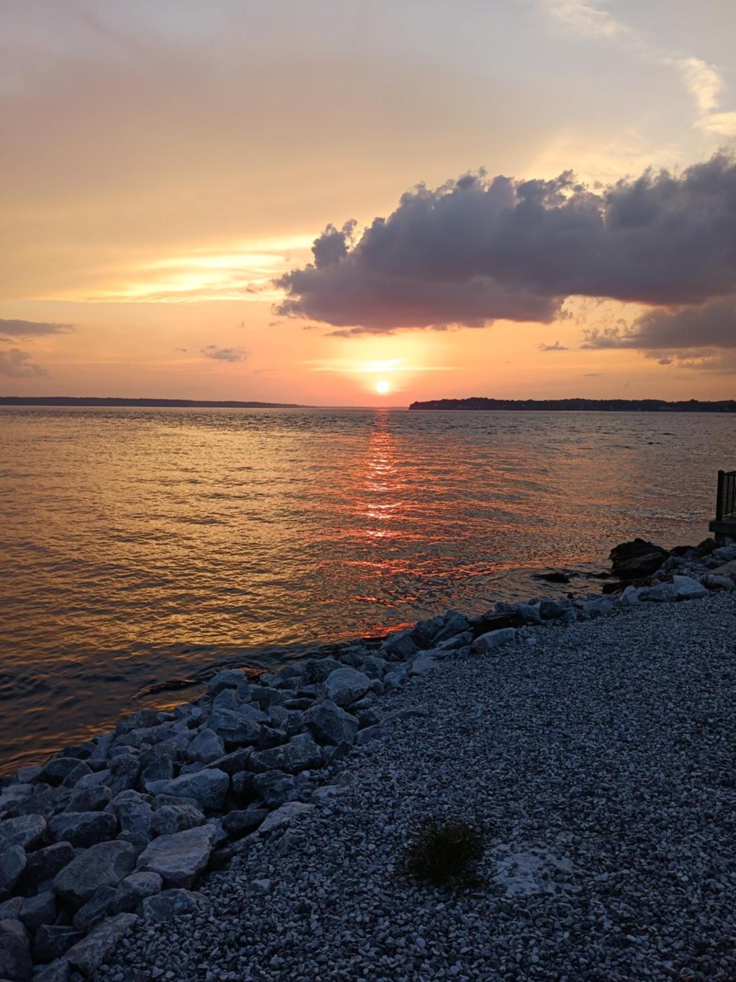 The Gemini-A Dreamy, Waterfront Tiny Cabin Rogersville Luaran gambar